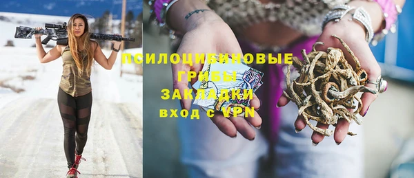 спиды Киреевск