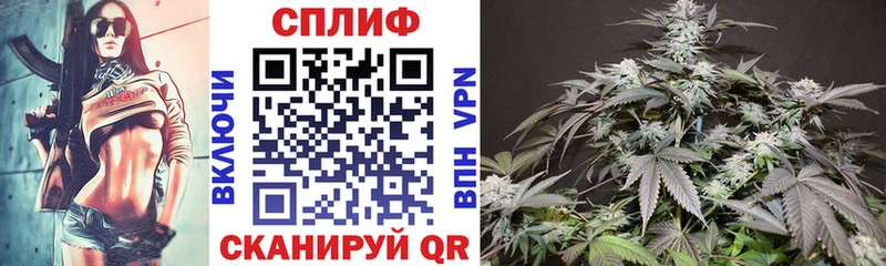 Купить закладки  Михайловск  Бошки марихуана индика 